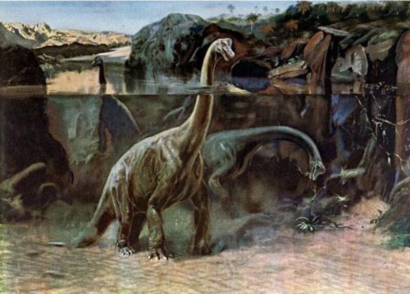 Top 10 phytophagous dinosaurs