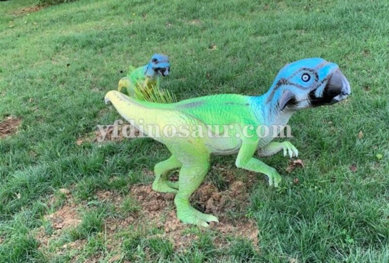 Psittacosaurus Animatronic and Simulated Dinosaur Model