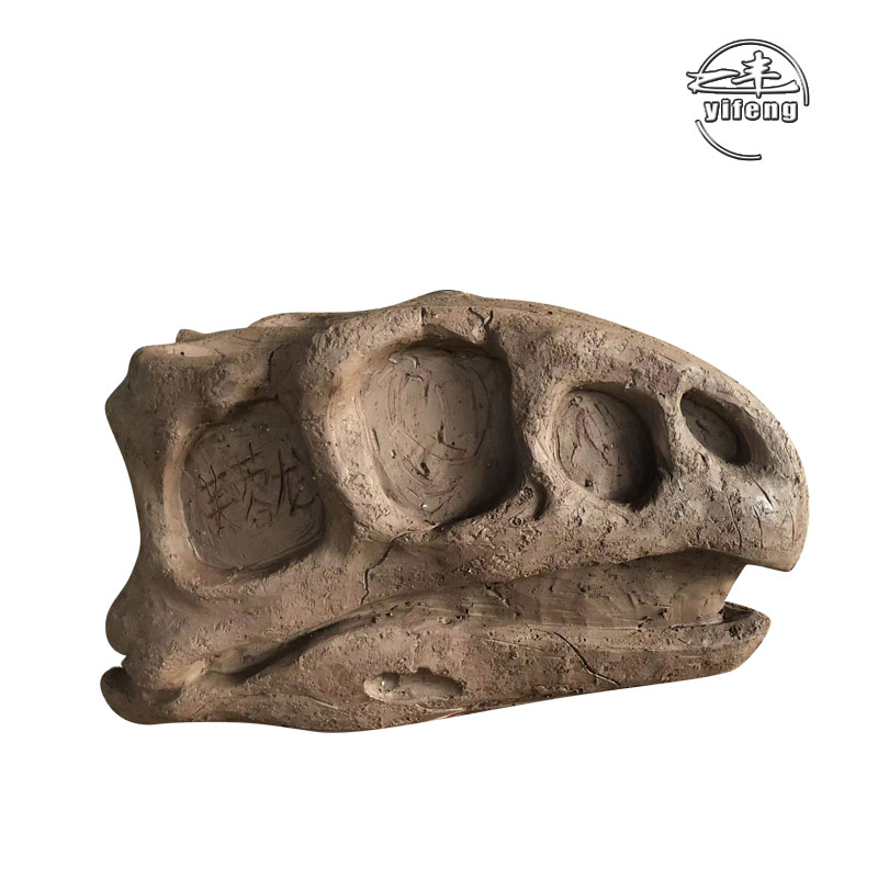 Real Size Dinosaur Skeleton Fossils Model for Sale