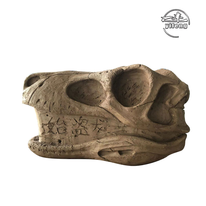 High Quality simulated handmade skeleton model of dinosaur head in Dinosaur Park