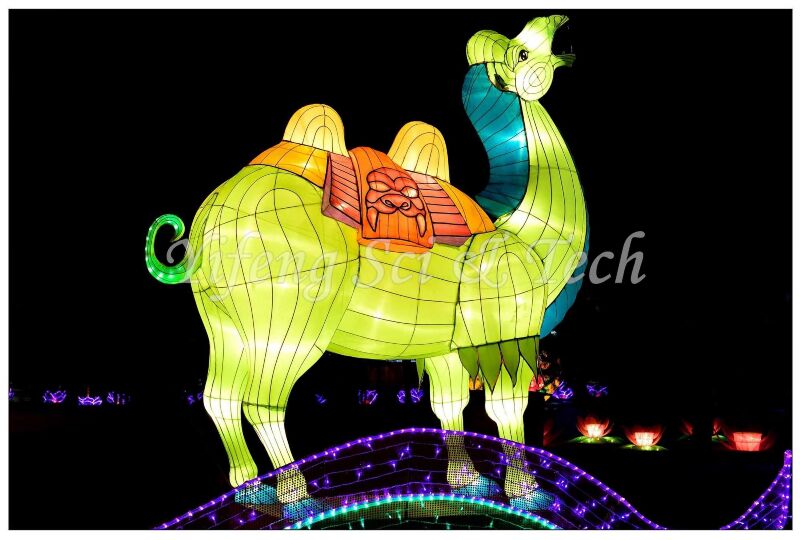 Lantern show (18)