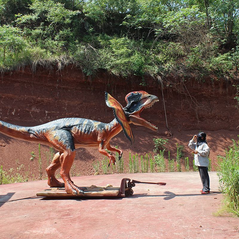 Life Size 6m Long Animatronic Dilophosaurus Model for Jurassic Dino Show