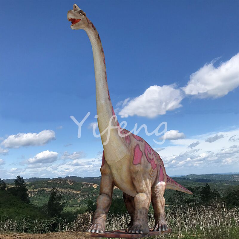 Full-sized Animatronic Brachiosaurus Model 5m Tall for Shopping Mall