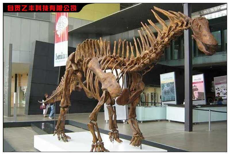 Dinosaur Skeleton